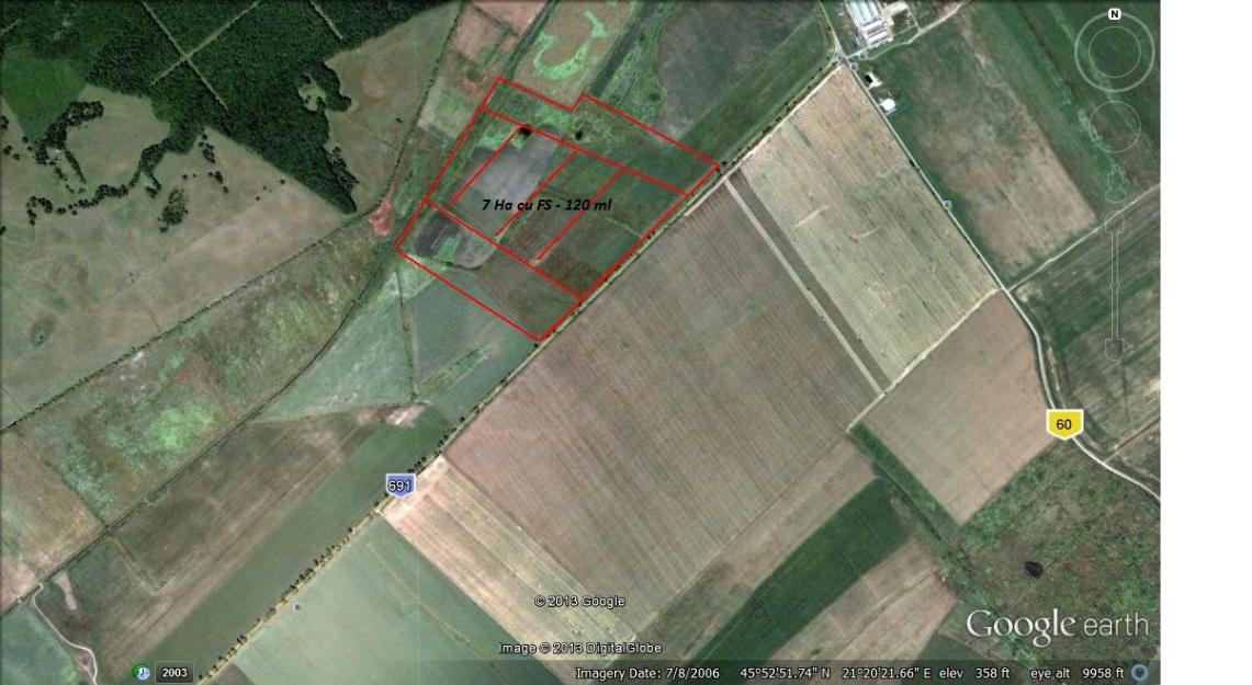 7 Ha cu FS la sosea Autostrada-Giarmata - Pret | Preturi 7 Ha cu FS la sosea Autostrada-Giarmata