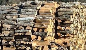 lemne de foc de esenta tare( fag, stejar, carpen si carbuni) - Pret | Preturi lemne de foc de esenta tare( fag, stejar, carpen si carbuni)