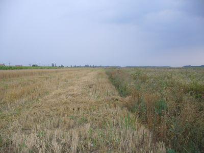 Teren agricol 14 ha, Balta Doamnei judet Prahova - Pret | Preturi Teren agricol 14 ha, Balta Doamnei judet Prahova