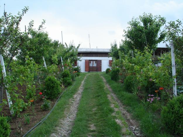 FERMA POMICOLA SI CASA DE VANZARE - Pret | Preturi FERMA POMICOLA SI CASA DE VANZARE