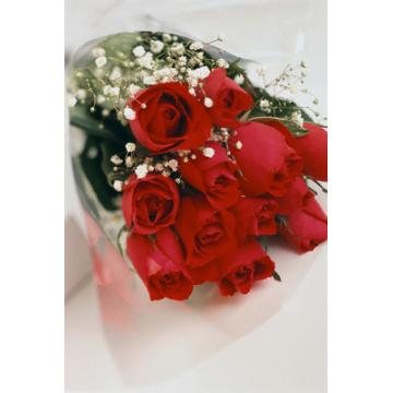 Buchet trandafiri rosii - Pret | Preturi Buchet trandafiri rosii