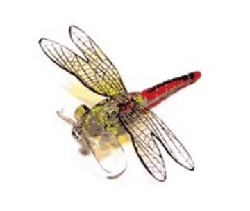 Libelula Dragon Fly Poper DF05 70mm 6,0gr - Transparent - Pret | Preturi Libelula Dragon Fly Poper DF05 70mm 6,0gr - Transparent