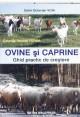 Ovine si caprine-ghid practic de crestere - Pret | Preturi Ovine si caprine-ghid practic de crestere