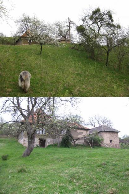 Casa cu 5000 metri patrati teren agricol, situata in Cornitel, judetul Bihor - Pret | Preturi Casa cu 5000 metri patrati teren agricol, situata in Cornitel, judetul Bihor