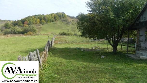Vand teren in zona Podis – Stejaru, cu suprafata de 20000 mp, parcelabil - Pret | Preturi Vand teren in zona Podis – Stejaru, cu suprafata de 20000 mp, parcelabil