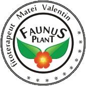 Producem si comercializam produse naturiste: ceaiuri, tincturi, alifii, siropuri, produse - Pret | Preturi Producem si comercializam produse naturiste: ceaiuri, tincturi, alifii, siropuri, produse