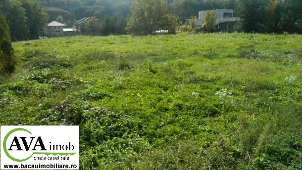 Vand teren intravilan in zona Valea Budului cu suprafata de 4000 mp - Pret | Preturi Vand teren intravilan in zona Valea Budului cu suprafata de 4000 mp