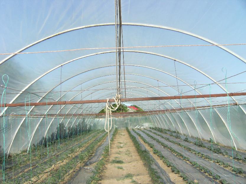 vand solar de legume - Pret | Preturi vand solar de legume