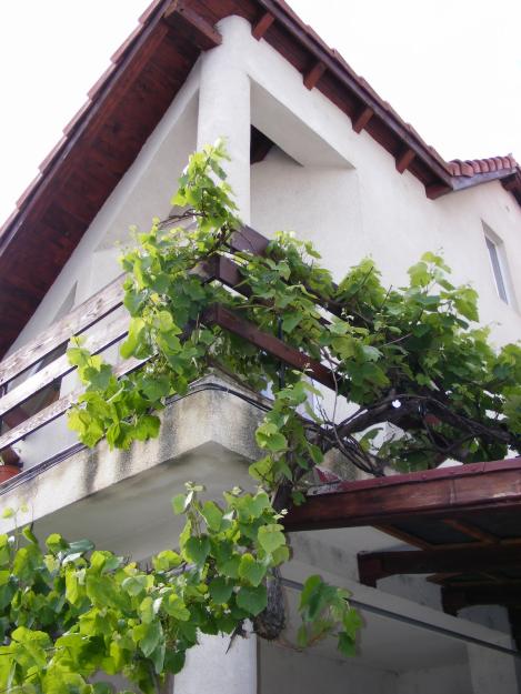 Vila in zona linistita si insorita, parter si mansarda. - Pret | Preturi Vila in zona linistita si insorita, parter si mansarda.