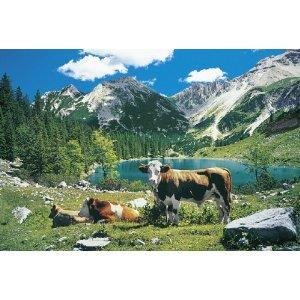 Puzzle Schmidt 500 Soiernsee - Pret | Preturi Puzzle Schmidt 500 Soiernsee