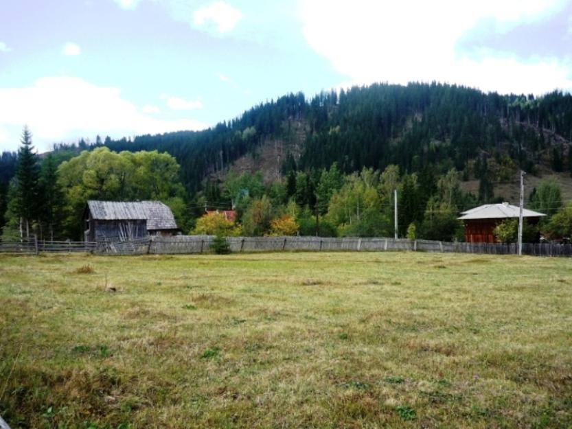 Teren de vanzare Vatra Dornei Neagra Sarului Bucovina - Pret | Preturi Teren de vanzare Vatra Dornei Neagra Sarului Bucovina