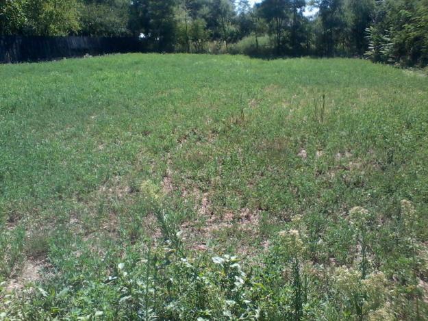 vind urgent loc de casa scortaru vechii strada carutasilor - Pret | Preturi vind urgent loc de casa scortaru vechii strada carutasilor