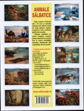 Planse cu animale salbatice - set 10 planse - Pret | Preturi Planse cu animale salbatice - set 10 planse