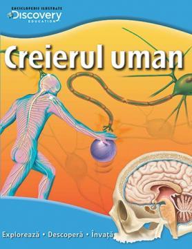 Creierul uman - Pret | Preturi Creierul uman