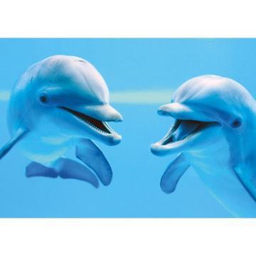 Puzzle Clementoni Delfini (1000 piese) - Pret | Preturi Puzzle Clementoni Delfini (1000 piese)