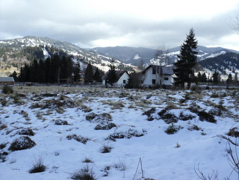 Bucovina Vatra Dornei - Pret | Preturi Bucovina Vatra Dornei