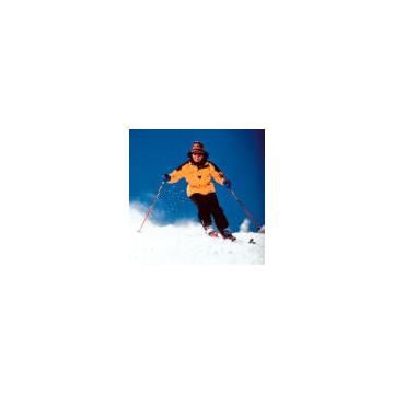 Vacante La Ski In Romania Si Austria - Pret | Preturi Vacante La Ski In Romania Si Austria