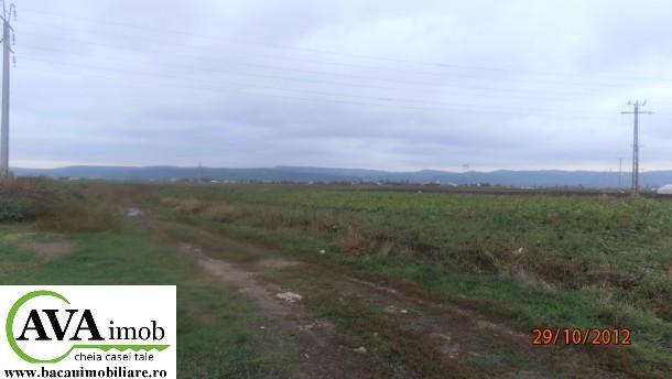 Vanzare urgent teren pe Calea Barladului, 800 mp, deschidere 24m - Pret | Preturi Vanzare urgent teren pe Calea Barladului, 800 mp, deschidere 24m