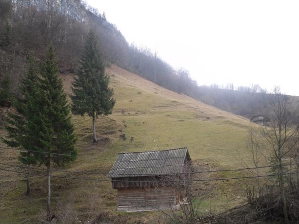 Vand teren Cheile Dambovicioarei - Pret | Preturi Vand teren Cheile Dambovicioarei