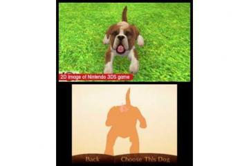 Nintendogs + Cats: Toy Poodle &amp;amp; New Friends 3DS - Pret | Preturi Nintendogs + Cats: Toy Poodle &amp;amp; New Friends 3DS