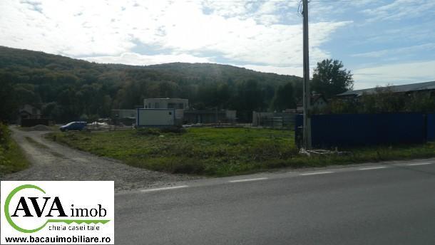 Vand teren intravilan in zona Valea Budului cu suprafata de 1500 mp - Pret | Preturi Vand teren intravilan in zona Valea Budului cu suprafata de 1500 mp