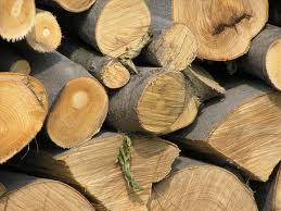 lemn lemne de foc la metru transport inclus RO - Pret | Preturi lemn lemne de foc la metru transport inclus RO