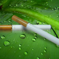 Renuntare la fumat cu biorezonanta - Pret | Preturi Renuntare la fumat cu biorezonanta