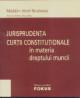Jurisprudenta Curtii Constitutionale in materia dreptului muncii - Pret | Preturi Jurisprudenta Curtii Constitutionale in materia dreptului muncii