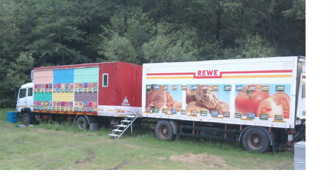 Vand camion + remorca apicola - Pret | Preturi Vand camion + remorca apicola