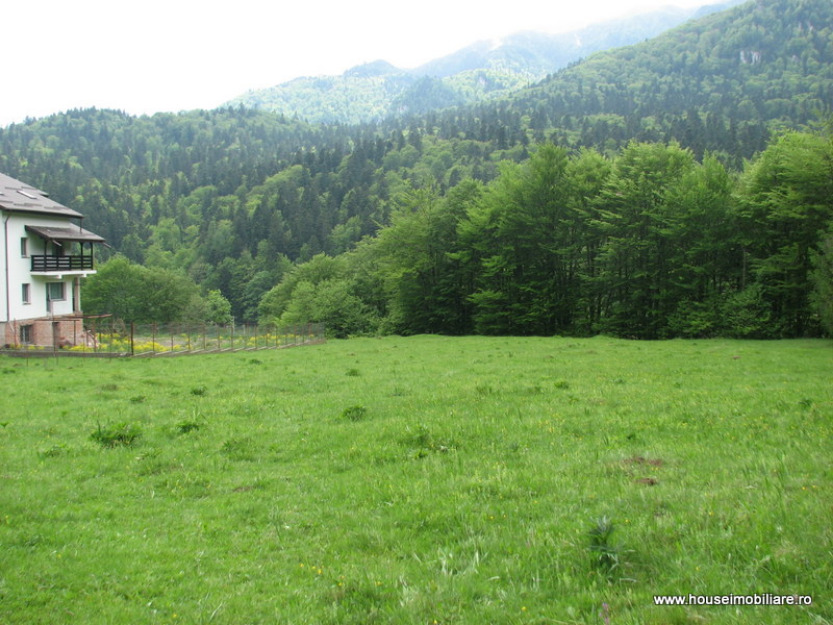 sinaia-teren intravilan ,cumpatu - Pret | Preturi sinaia-teren intravilan ,cumpatu