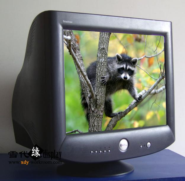 Monitor Dell P1130 - CRT 21