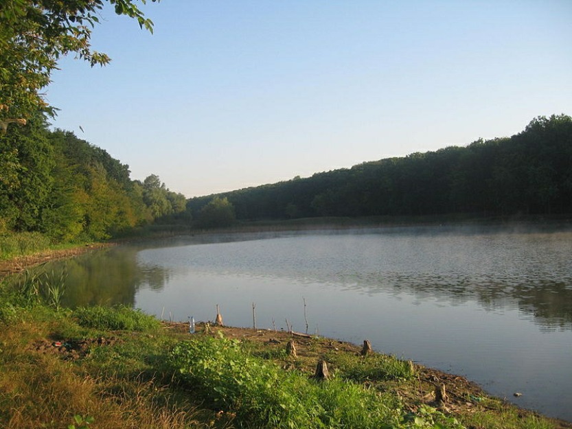 Vindem 4100mp teren intravilan, cu padure, deschidere la lac - Pret | Preturi Vindem 4100mp teren intravilan, cu padure, deschidere la lac