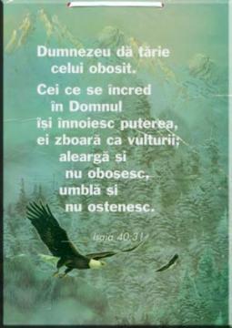 Dumnezeu da tarie - Pret | Preturi Dumnezeu da tarie
