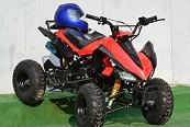 Raptor Atv 125 Nou cu garantie - Pret | Preturi Raptor Atv 125 Nou cu garantie