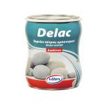 DELAC LAC VITEX PENTRU PIATRA - 2.5 L - Pret | Preturi DELAC LAC VITEX PENTRU PIATRA - 2.5 L