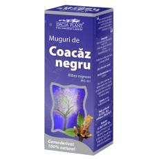 Gemoderivat Muguri de Coacaz Negru 50ml - Pret | Preturi Gemoderivat Muguri de Coacaz Negru 50ml