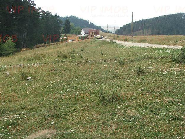 Teren Brasov, Sacele, Turches, 2000mp, panorama deosebita - Pret | Preturi Teren Brasov, Sacele, Turches, 2000mp, panorama deosebita