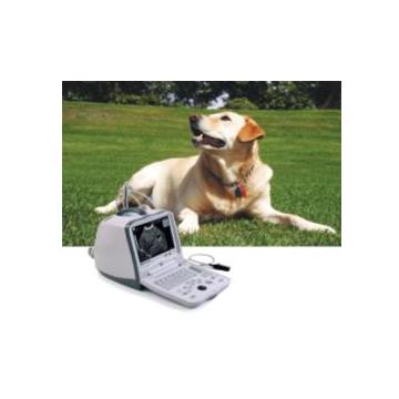 Ecograf digital portabil veterinar Mindray DP-6600 - Pret | Preturi Ecograf digital portabil veterinar Mindray DP-6600