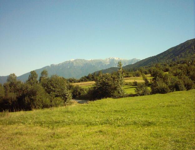 Vand 1100 m.p teren intravilan la 1.5 km de Castelul Bran, utilitati, priveliste Bucegi, - Pret | Preturi Vand 1100 m.p teren intravilan la 1.5 km de Castelul Bran, utilitati, priveliste Bucegi,