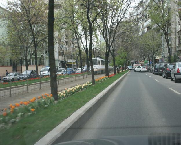 Vanzare Teren Victoriei, Bucuresti - Pret | Preturi Vanzare Teren Victoriei, Bucuresti