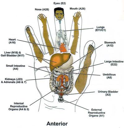 Curs practic reflexoterapie 40 ore incepere imediat/weekend, certificat rec UE - Pret | Preturi Curs practic reflexoterapie 40 ore incepere imediat/weekend, certificat rec UE