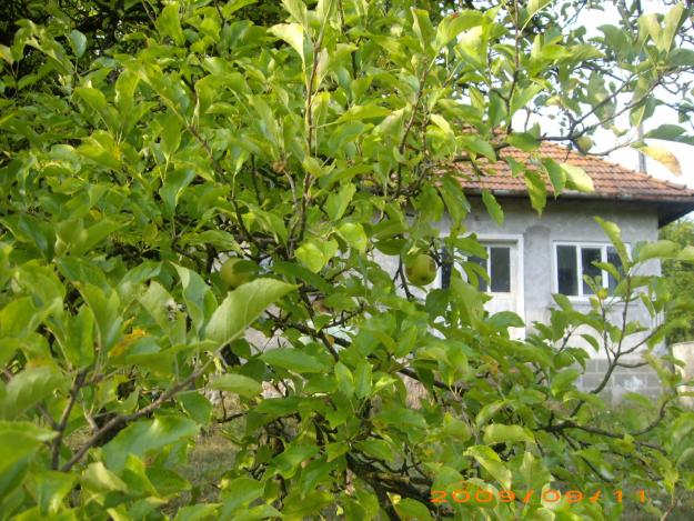casa de vacanta ,teren - Pret | Preturi casa de vacanta ,teren