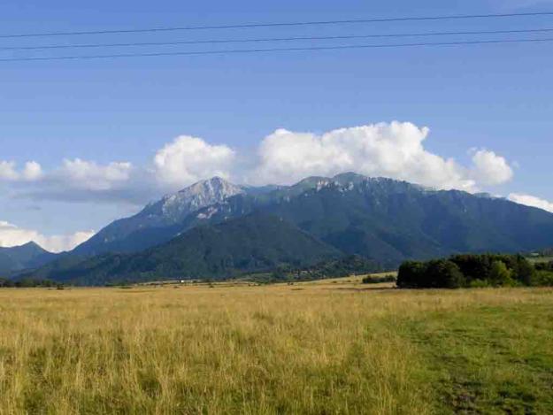 Vand 1500 mp in Rasnov Glajerie - Pret | Preturi Vand 1500 mp in Rasnov Glajerie