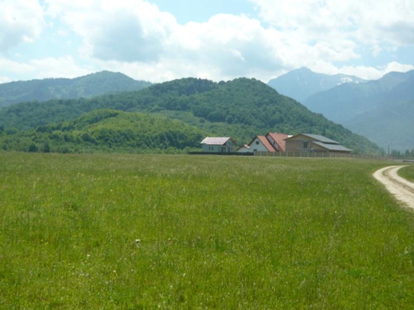 Vand teren intravilan Rasnov loturi in PUZ - Pret | Preturi Vand teren intravilan Rasnov loturi in PUZ