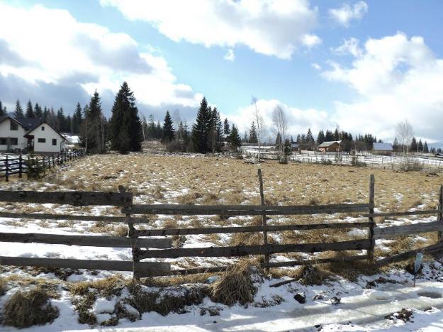 Bucovina Nordul Moldovei langa Vatra Dornei 2000mp intrav pret 3 euro - Pret | Preturi Bucovina Nordul Moldovei langa Vatra Dornei 2000mp intrav pret 3 euro