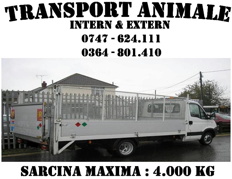 Transport animale - intern & extern - Pret | Preturi Transport animale - intern & extern