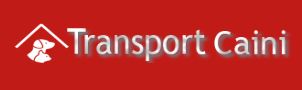 Transport caini UK - Pret | Preturi Transport caini UK