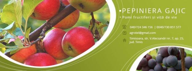 Pomi fructiferi, Vita de vie de vanzare - PEPINIERA GAJIC - Pret | Preturi Pomi fructiferi, Vita de vie de vanzare - PEPINIERA GAJIC